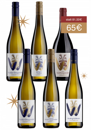 Scheurebe 2023 (Kopie) (Kopie) (Kopie) (Kopie) (Kopie) (Kopie)